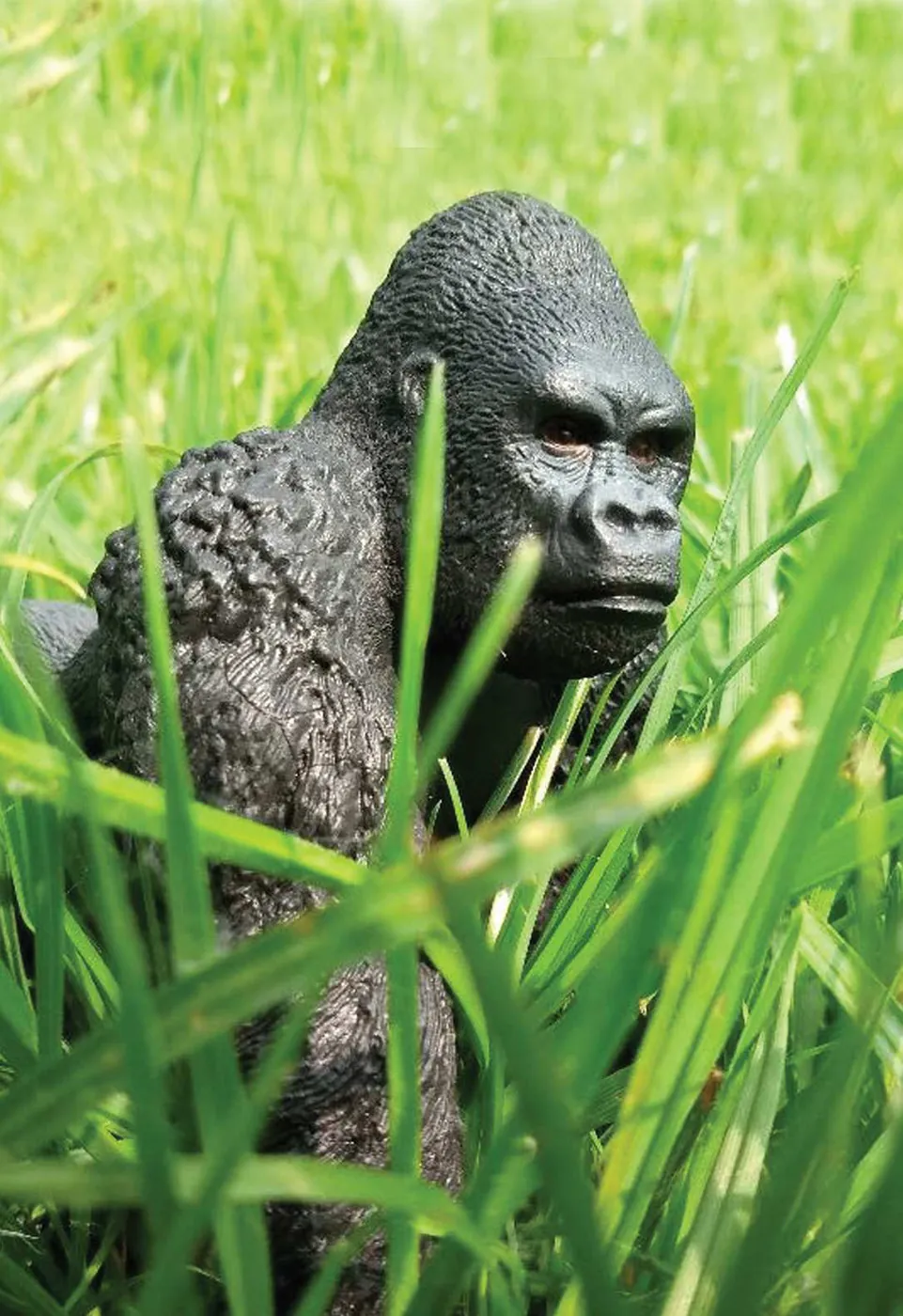 Visuel Tant pis pour King Kong !