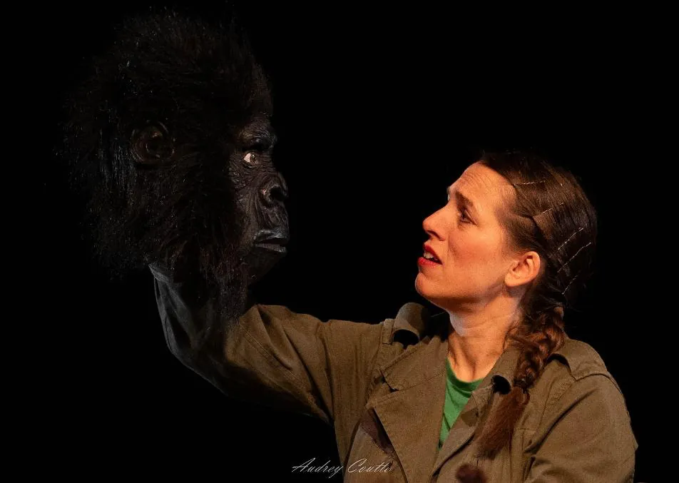 Face-à-face avec un gorille dans la pénombre